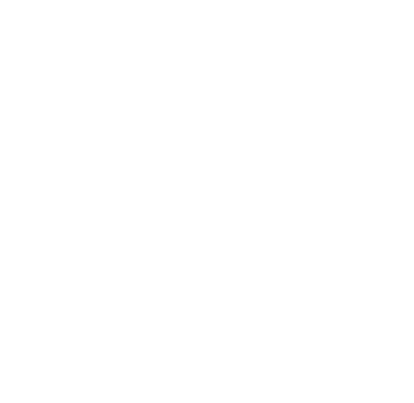 NP Promotion